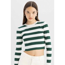DeFacto Slim Fit Dar Kesim Çizgili Bisiklet Yaka Triko Kazak X6888AZ24WN
