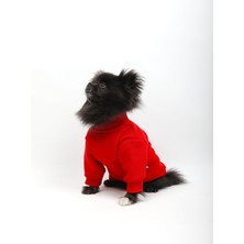 Tarpaws Red Limited Basic Kazak