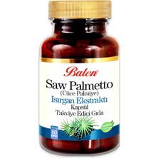 Saw Palmetto Isırgan Ekstraktı Çinko 375 Mg 60 Kapsül