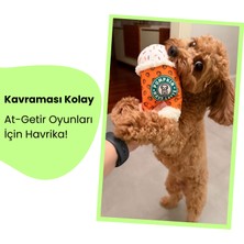 Havhav Havhavcafe Peluş Köpek Oyuncağı Pumpkin Havs Latte Vikvik Sesli Köpek Oyuncağı