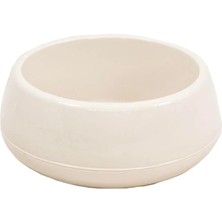 Serinova Kaktüs Arajman Saksı  No:2 2 Lt