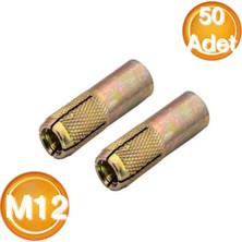 Dbe Çakma Çelik Dübel M12 (50 Adet)