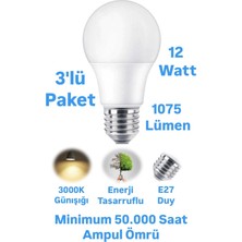 Repplam ACK 12W Günışığı LED Ampul 1075 Lümen E27 Duylu Yüksek Işık LED Lamba
