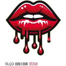 Motorsiklet Otomobil Sticker 2 Adet 080