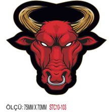Motorsiklet Otomobil Sticker 2 Adet 100