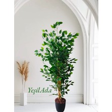 Yapay Benjamin Ağacı 1.50 mt Boy Şelale Görünüm Yoğun Yaprak Ficus Benjamia