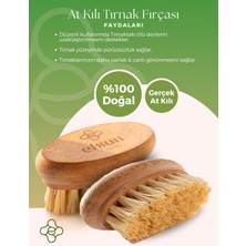 %100 Doğal At Kılı Tırnak Fırçası