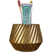 Diş Fırçalığı Diş Fırçalık Diş Fırçası Standı Diş Fırçası Tutucu Altın Model 21