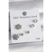 Callerrons Accessories Gümüş Renk Zirkon Taşlı Kar Tanesi Model Kadın Küpe Seti - EBJ250118W30651