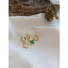 Luna Jewelry Kadın Mineli Yonca Model 3'lü 316 L Çelik Küpe Seti