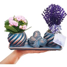 Çiçek Seli Kalanchoe ve Lavanta Set Kelebek Minik Yüzük Kutusu Detaylı Canli Cicek Kuru Çiçek