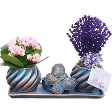 Çiçek Seli Kalanchoe ve Lavanta Set Kelebek Minik Yüzük Kutusu Detaylı Canli Cicek Kuru Çiçek