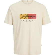 Jorfrederıksberg Box Scrıpt Tee Ss Cn Ln A.hardal