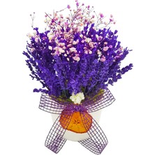 Çiçek Seli Lavanta Valensole & Kuru Çiçek Tasarımı