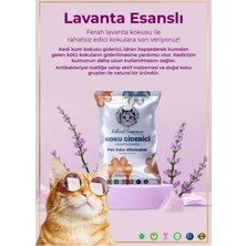 Natural Fragrance Kedi Kumu Kokusu Sabun Esanslı 25 li Kutu