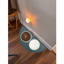 Silikon Mama Matı Havuzlu Yıkanabilir Kaymaz Evcil Hayvan Beslenme Matı Kedi Köpek Paspası 50X25 cm