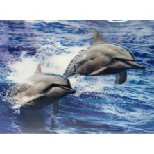 Xnews Gümüş Yandan Tüylü Güllü Pullu Maske