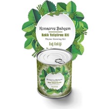 Zayka® Konserve Bahçem Evde Konservede Kekik Dağ Kekiği Yetiştirme Kiti