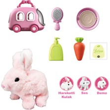 Wingzy Taşıma Araba Çantalı Hareketli Pilli Tavşan Set