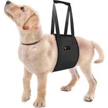 Petza Köpek Kaldırma Kayışı Moppa