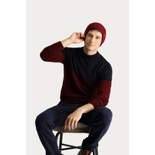 Bisiklet Yaka Slim Fit Dar Kesim Desenli Triko Kazak