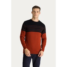 Bisiklet Yaka Slim Fit Dar Kesim Desenli Triko Kazak