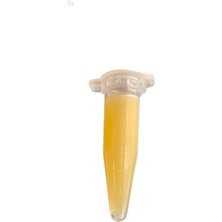 Keki Macunu Ithal Orjinal Ürün 1.5gr - Orkide ve Bitkiler Için Çoğaltma Hormonu Orjinal Cytokinin