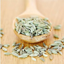 Rezene Tohumu, Fennel Seed, Foeniculum vulgare, 100 gr.