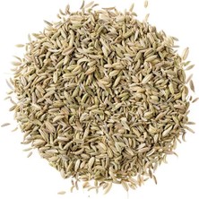 Rezene Tohumu, Fennel Seed, Foeniculum vulgare, 100 gr.