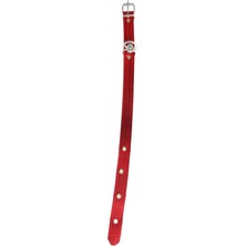 Tasma Atalier Büyük  Boy Köpek Tasması 65 cm