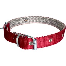 Tasma Atalier Büyük Boy Zilli Köpek Tasması 65 cm