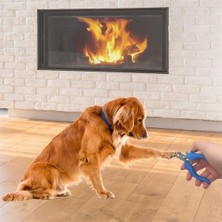 Zayka Evcil Hayvan Kedi ve Köpek Çelik Yaylı Tırnak Makası ve Düzeltme