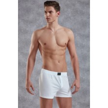 Timion Doreanse  Erkek  Boxer 1511