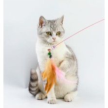 Bloom Kedi Teaser'ı Kedi Oyuncakları (Yurt Dışından)