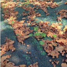 Torsan Fındık Toplama Filesi – Yüzde 55 Lik Fındık Filesi – Yeşil - 3 Metre x 4 Metre