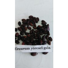 Erzurum Yöresel Gıda Tortum Kızılcık Kurusu 1 kg