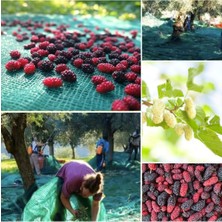 Torsan Dut Toplama Filesi – Yüzde 75 Lik – Yeşil – Düz - 1 Metre x 2 Metre