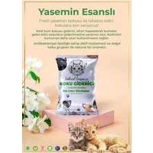 Natural Fragrance Kediler Için Kum Koku Giderici 6 Paket