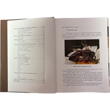 Modern Arıcılık Teknikleri Kitabı