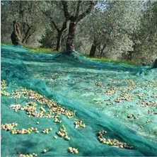 Torsan Dut Filesi – Yüzde 75 Lik – Yeşil – Şeritli Halkalı - 5 Metre x 90 Metre