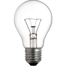 5 Adet 200 Watt Halejoen Flamanlı Klasik Ampul Sarı Işık Dimlenir