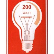 5 Adet 200 Watt Halejoen Flamanlı Klasik Ampul Sarı Işık Dimlenir
