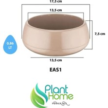 Plant Home Power Mix Kırık Beyaz Dekoratif Aranjman Saksı Kaktüs Sukulent Çiçek Saksısı 0,86 Lt