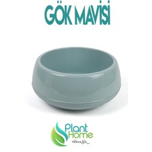 Plant Home Power Mix Gök Mavisi Dekoratif Aranjman Saksı Kaktüs Sukulent Çiçek Saksısı 0,86 Lt