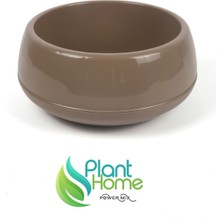 Plant Home Power Mix Dekoratif Mocha Renk Aranjman Saksı Kaktüs Sukulent Çiçek Saksısı 2 Lt