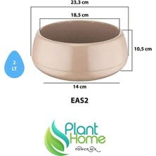 Plant Home Power Mix Dekoratif Aranjman Saksı Kaktüs Sukulent Çiçek Saksısı 2 Lt