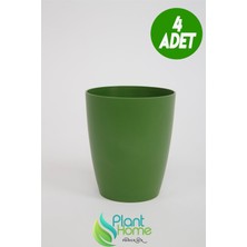 Plant Home Power Mix Dekoratif Koyu Yeşil Orkide Saksısı - 4 Adet Set Fiyatlı -12 Pot Üretim Saksısına Uygun