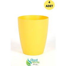 Plant Home Power Mix Dekoratif  Sarı Orkide Saksısı - 4 Adet Set Fiyatlı -12 Pot Üretim Saksısına Uygun Kaliteli Ürün