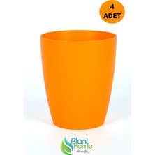 Plant Home Power Mix Dekoratif Turuncu Orkide Saksısı - 4 Adet Set Fiyatlı -12 Pot Üretim Saksısına Uygun Kaliteli Ürün