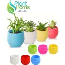 Plant Home Power Mix Dekoratif Mini Kaktüs Saksı Modelleri - 6 Adet Farklı Renkli Kaktüs Saksısı